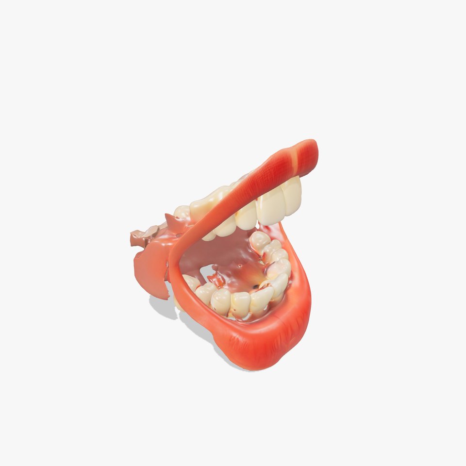 Realistic Human Mouth model pack